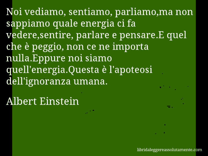 Aforisma di Albert Einstein : Noi vediamo, sentiamo, parliamo,ma non sappiamo quale energia ci fa vedere,sentire, parlare e pensare.E quel che è peggio, non ce ne importa nulla.Eppure noi siamo quell'energia.Questa è l'apoteosi dell'ignoranza umana.