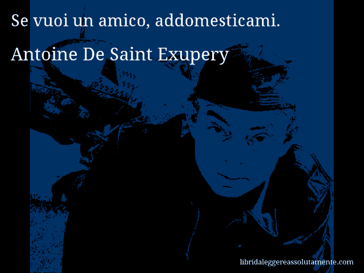 Aforisma di Antoine De Saint Exupery : Se vuoi un amico, addomesticami.