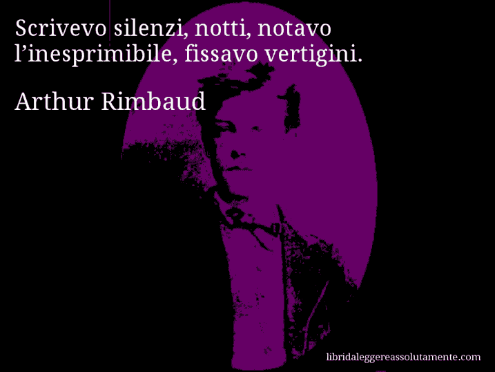 Aforisma di Arthur Rimbaud : Scrivevo silenzi, notti, notavo l’inesprimibile, fissavo vertigini.