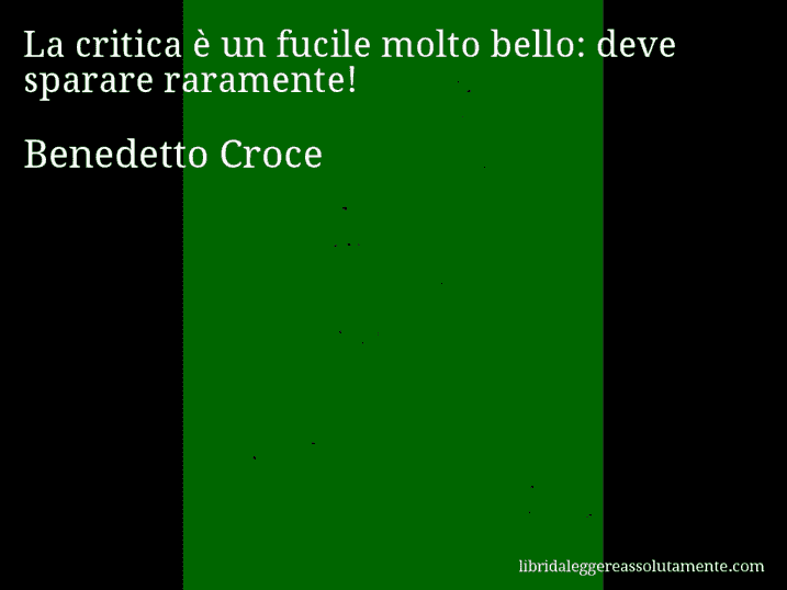 Aforisma di Benedetto Croce : La critica è un fucile molto bello: deve sparare raramente!