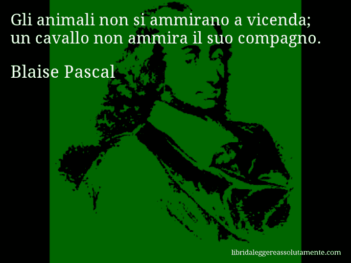 Aforisma di Blaise Pascal : Gli animali non si ammirano a vicenda; un cavallo non ammira il suo compagno.