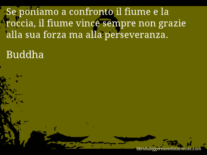 Aforisma di Buddha : Se poniamo a confronto il fiume e la roccia, il fiume vince sempre non grazie alla sua forza ma alla perseveranza.