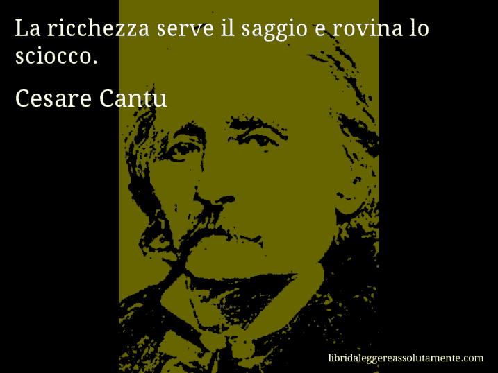 Aforisma di Cesare Cantu : La ricchezza serve il saggio e rovina lo sciocco.