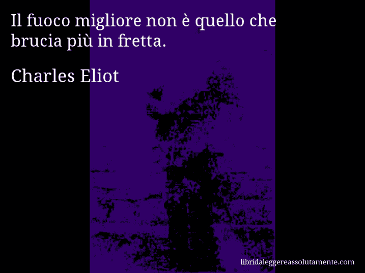 Aforisma di Charles Eliot : Il fuoco migliore non è quello che brucia più in fretta.