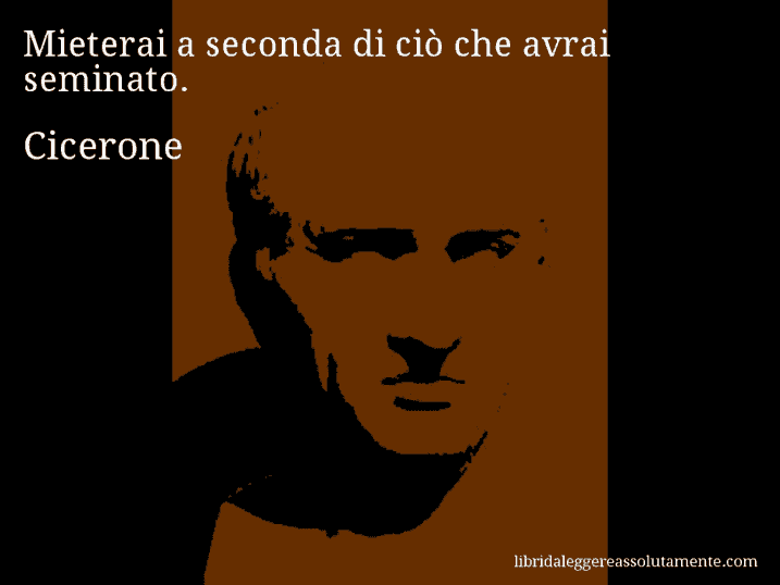 Aforisma di Cicerone : Mieterai a seconda di ciò che avrai seminato.