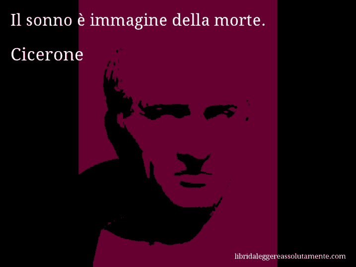 Aforisma di Cicerone : Il sonno è immagine della morte.