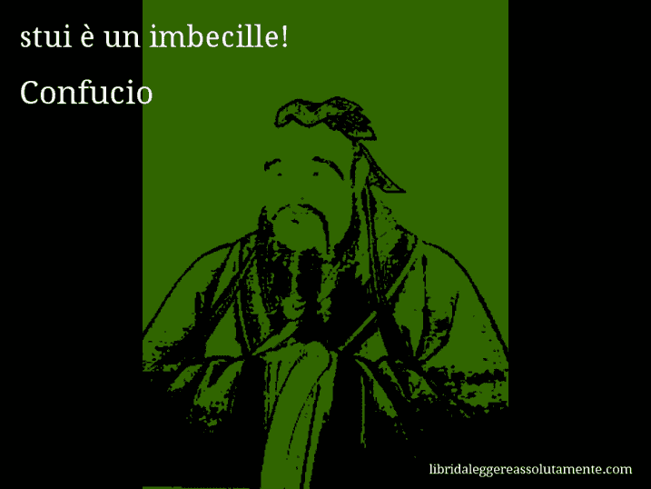 Aforisma di Confucio : stui è un imbecille!