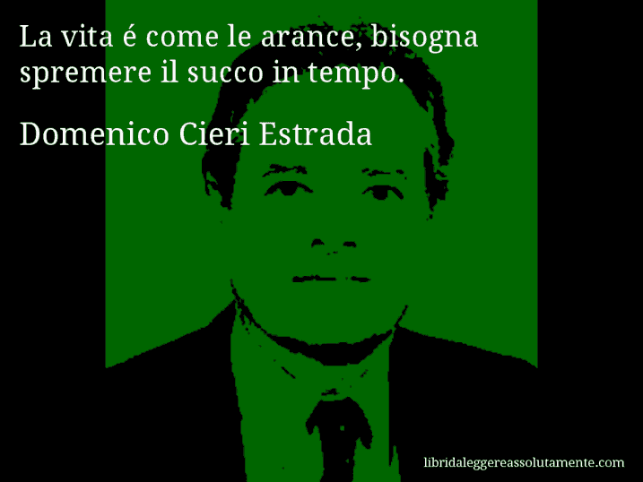 Aforisma di Domenico Cieri Estrada : La vita é come le arance, bisogna spremere il succo in tempo.