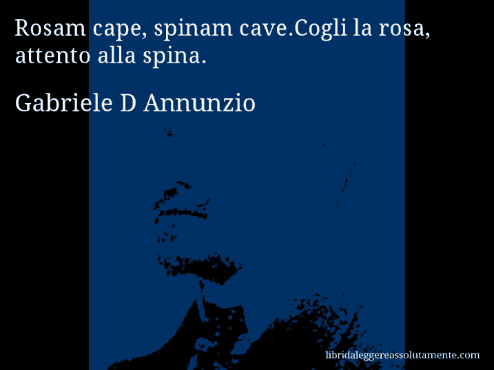 Aforisma di Gabriele D Annunzio : Rosam cape, spinam cave.Cogli la rosa, attento alla spina.