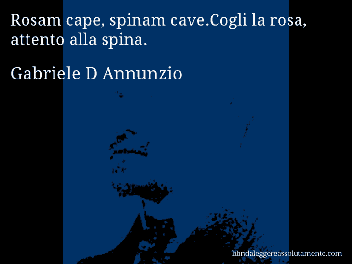 Aforisma di Gabriele D Annunzio : Rosam cape, spinam cave.Cogli la rosa, attento alla spina. Aforisma di Gabriele D Annunzio : Rosam cape, spinam cave.Cogli la rosa, attento alla spina.