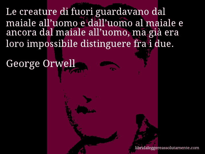 Aforisma di George Orwell : Le creature di fuori guardavano dal maiale all’uomo e dall’uomo al maiale e ancora dal maiale all’uomo, ma già era loro impossibile distinguere fra i due.