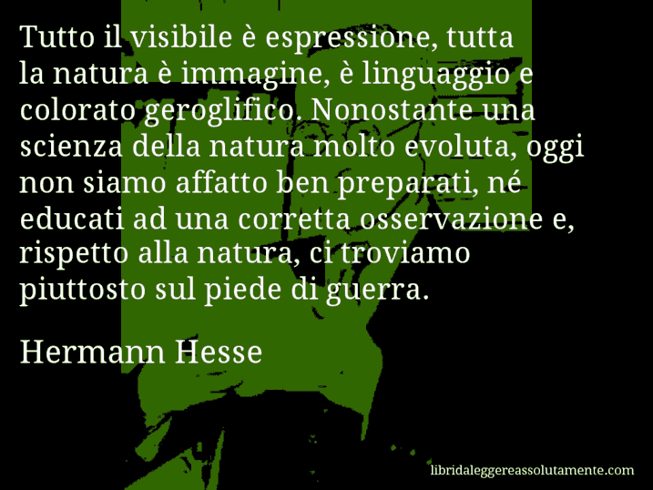 Aforisma di Hermann Hesse : Tutto il visibile è espressione, tutta la natura è immagine, è linguaggio e colorato geroglifico. Nonostante una scienza della natura molto evoluta, oggi non siamo affatto ben preparati, né educati ad una corretta osservazione e, rispetto alla natura, ci troviamo piuttosto sul piede di guerra.