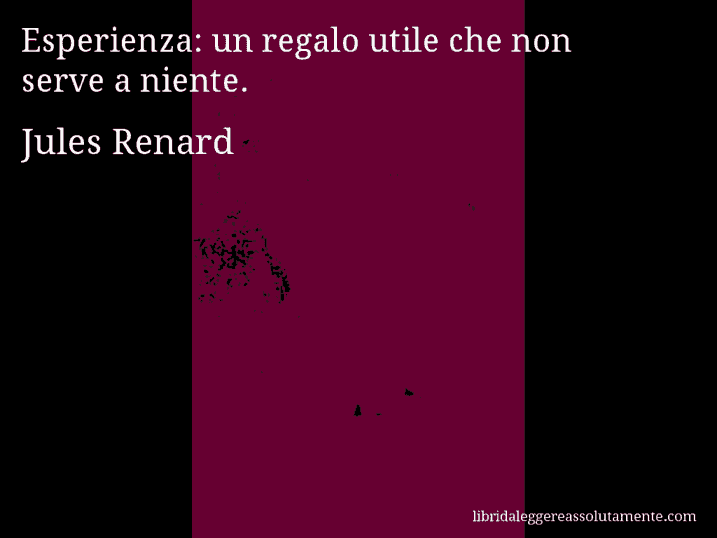 Aforisma di Jules Renard : Esperienza: un regalo utile che non serve a niente.