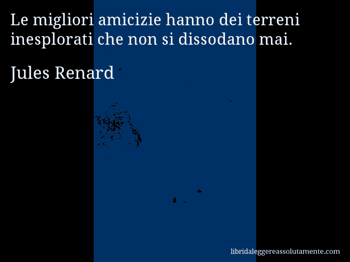 Aforisma di Jules Renard : Le migliori amicizie hanno dei terreni inesplorati che non si dissodano mai.