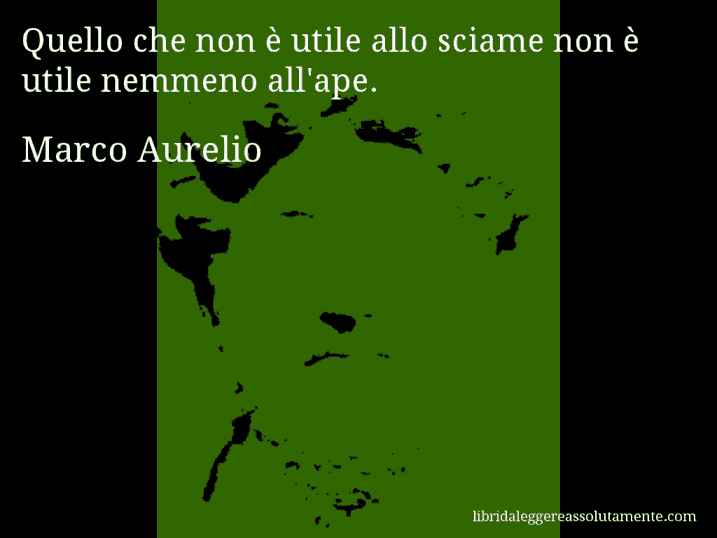 Aforisma di Marco Aurelio : Quello che non è utile allo sciame non è utile nemmeno all'ape.