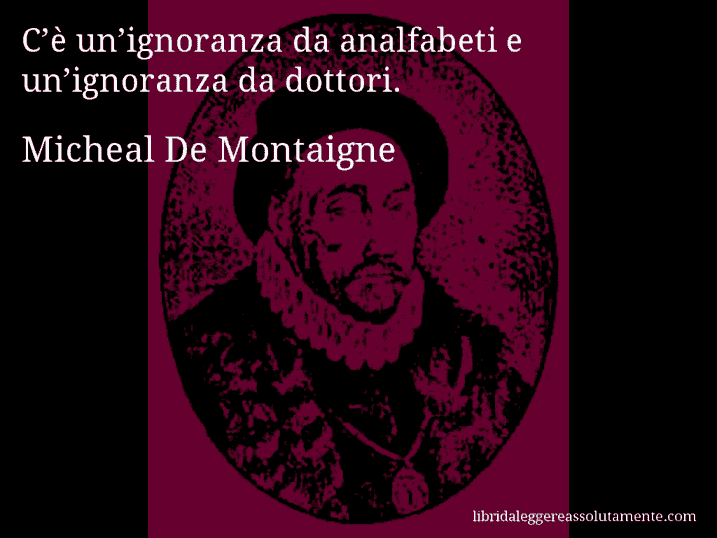 Aforisma di Micheal De Montaigne : C’è un’ignoranza da analfabeti e un’ignoranza da dottori.