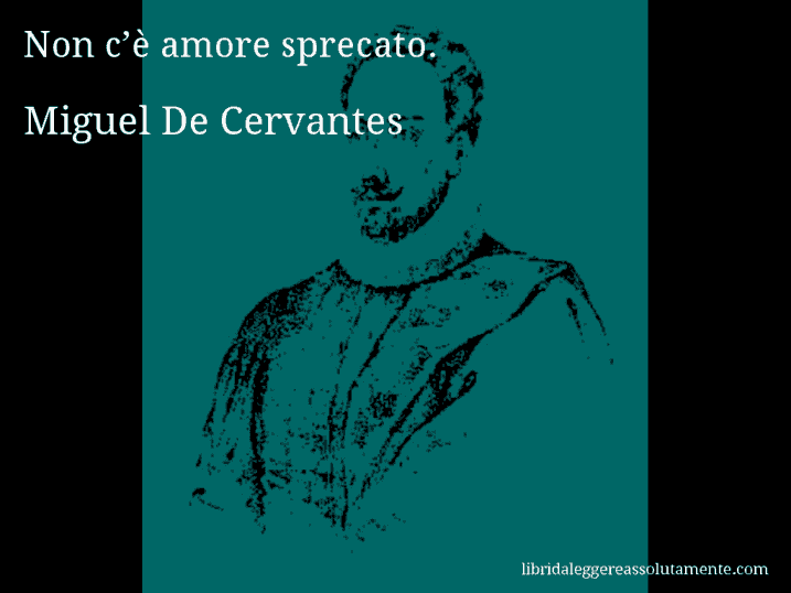 Aforisma di Miguel De Cervantes : Non c’è amore sprecato.