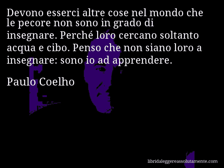 Aforisma di Paulo Coelho : Devono esserci altre cose nel mondo che le pecore non sono in grado di insegnare. Perché loro cercano soltanto acqua e cibo. Penso che non siano loro a insegnare: sono io ad apprendere.