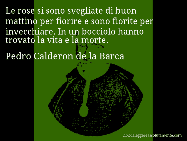 Aforisma di Pedro Calderon de la Barca : Le rose si sono svegliate di buon mattino per fiorire e sono fiorite per invecchiare. In un bocciolo hanno trovato la vita e la morte.