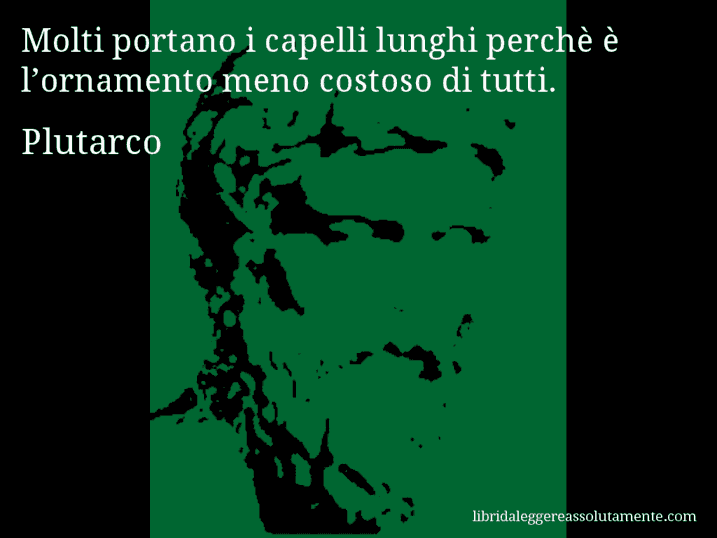 Aforisma di Plutarco : Molti portano i capelli lunghi perchè è l’ornamento meno costoso di tutti.