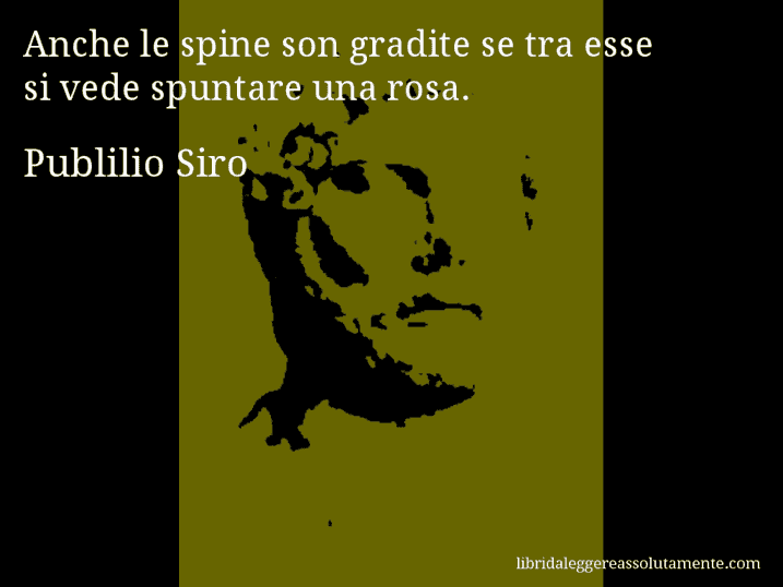 Aforisma di Publilio Siro : Anche le spine son gradite se tra esse si vede spuntare una rosa.