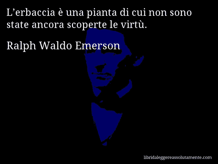 Aforisma di Ralph Waldo Emerson : L’erbaccia è una pianta di cui non sono state ancora scoperte le virtù.