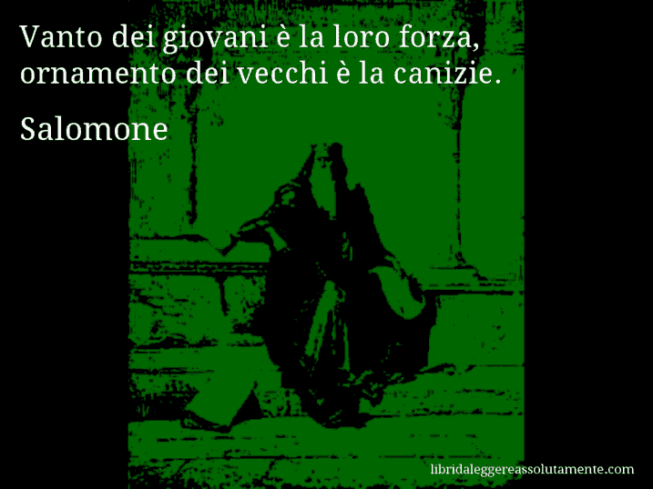 Aforisma di Salomone : Vanto dei giovani è la loro forza, ornamento dei vecchi è la canizie.