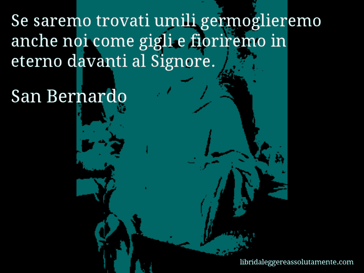 Aforisma di San Bernardo : Se saremo trovati umili germoglieremo anche noi come gigli e fioriremo in eterno davanti al Signore.