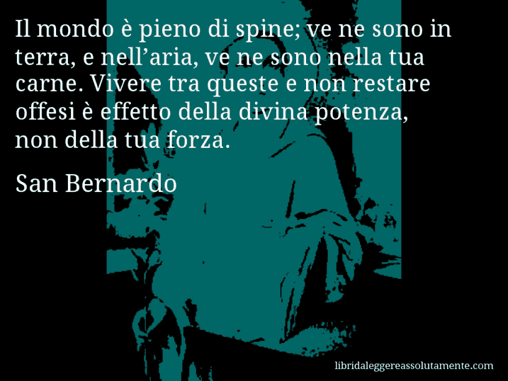 Aforisma di San Bernardo : Il mondo è pieno di spine; ve ne sono in terra, e nell’aria, ve ne sono nella tua carne. Vivere tra queste e non restare offesi è effetto della divina potenza, non della tua forza.