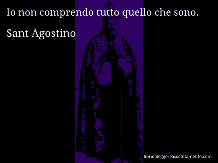Aforisma di Sant Agostino : Io non comprendo tutto quello che sono.