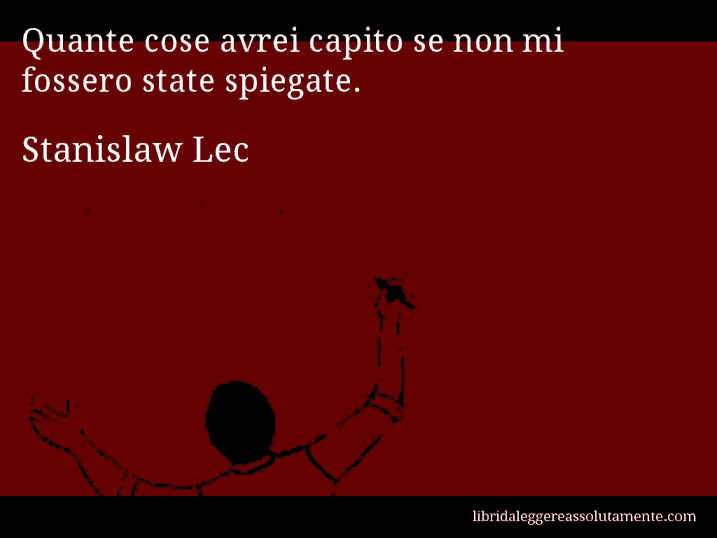 Aforisma di Stanislaw Lec : Quante cose avrei capito se non mi fossero state spiegate.