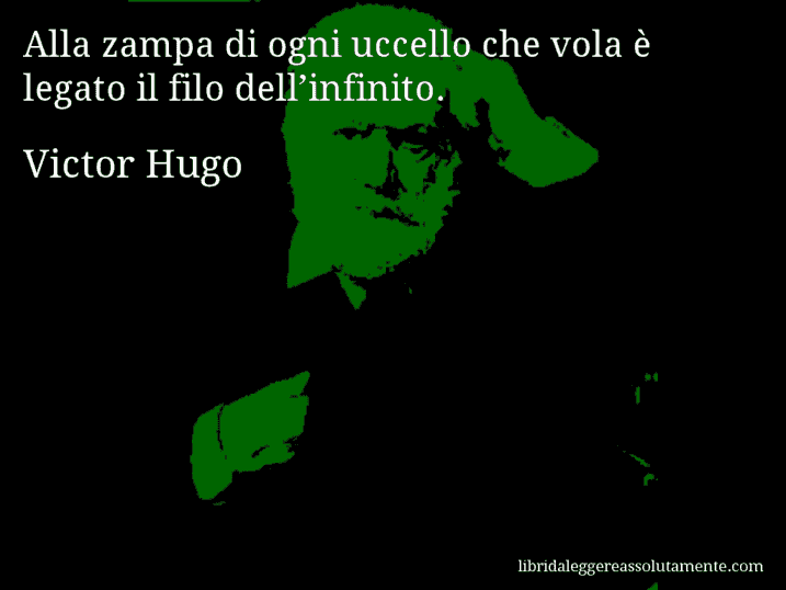 Aforisma di Victor Hugo : Alla zampa di ogni uccello che vola è legato il filo dell’infinito.