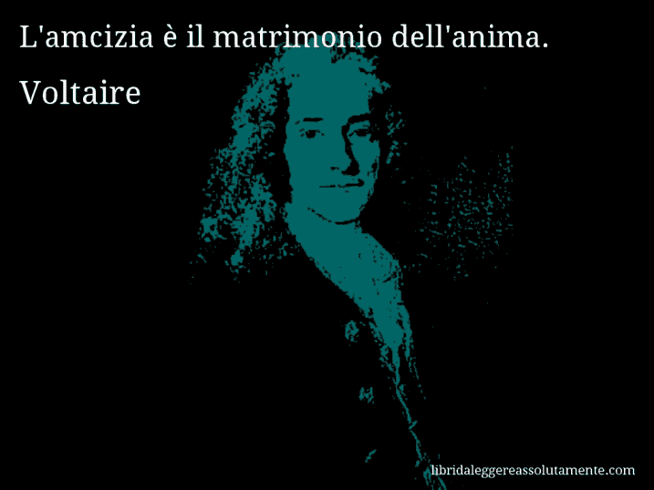 Aforisma di Voltaire : L'amcizia è il matrimonio dell'anima.