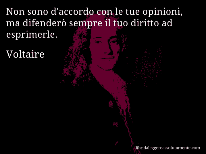 Aforisma di Voltaire : Non sono d'accordo con le tue opinioni, ma difenderò sempre il tuo diritto ad esprimerle.