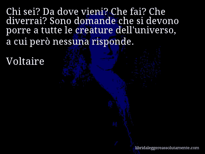 Aforisma di Voltaire : Chi sei? Da dove vieni? Che fai? Che diverrai? Sono domande che si devono porre a tutte le creature dell'universo, a cui però nessuna risponde.