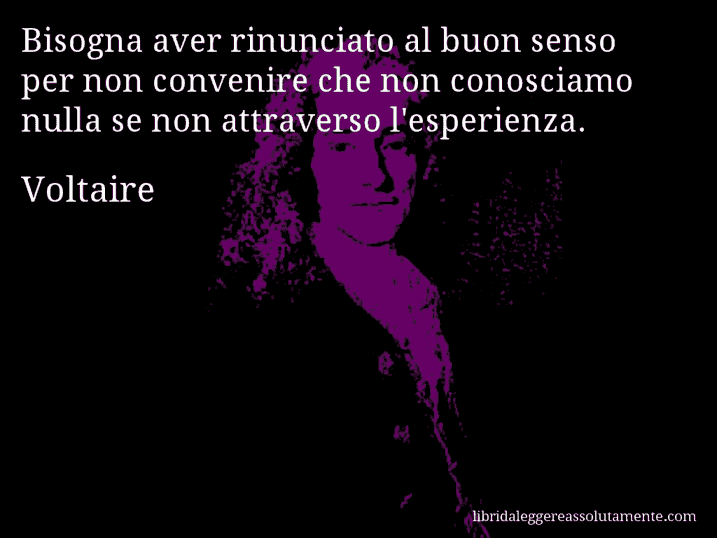 Aforisma di Voltaire : Bisogna aver rinunciato al buon senso per non convenire che non conosciamo nulla se non attraverso l'esperienza.