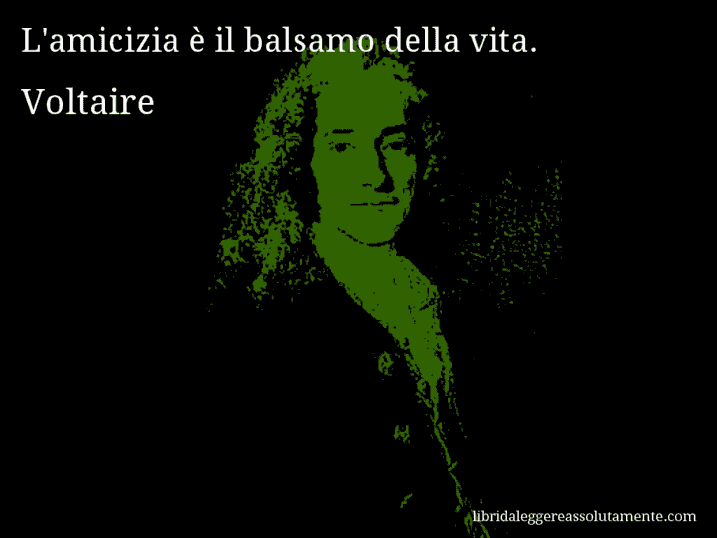 Aforisma di Voltaire : L'amicizia è il balsamo della vita.