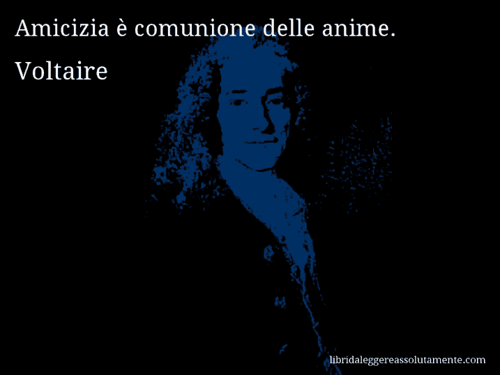 Aforisma di Voltaire : Amicizia è comunione delle anime.