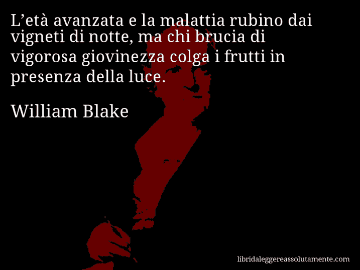 Aforisma di William Blake : L’età avanzata e la malattia rubino dai vigneti di notte, ma chi brucia di vigorosa giovinezza colga i frutti in presenza della luce.