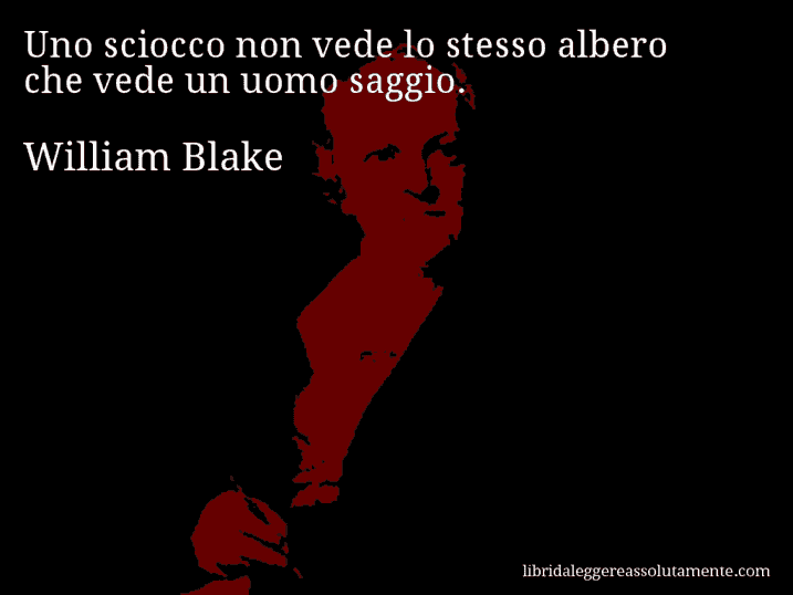 Aforisma di William Blake : Uno sciocco non vede lo stesso albero che vede un uomo saggio.