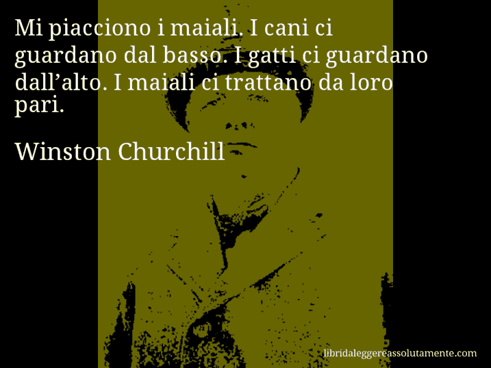 Aforisma di Winston Churchill : Mi piacciono i maiali. I cani ci guardano dal basso. I gatti ci guardano dall’alto. I maiali ci trattano da loro pari.