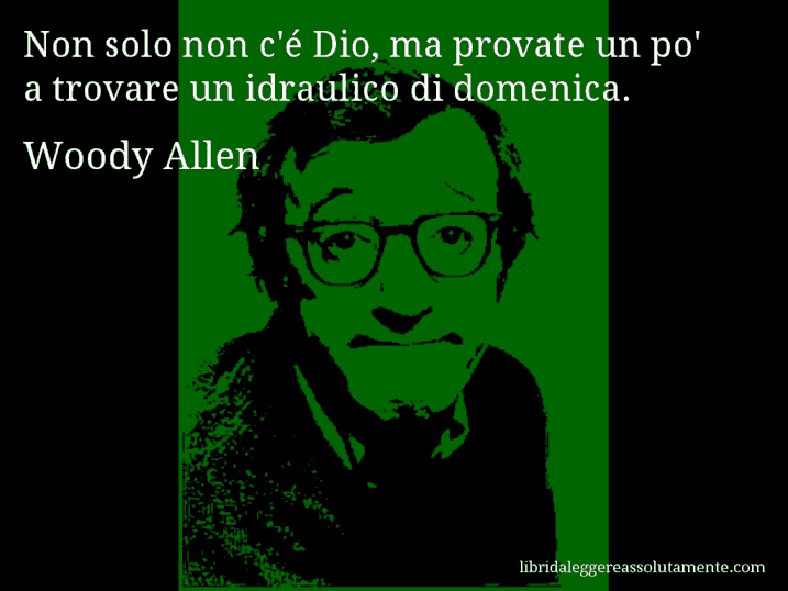 Aforisma di Woody Allen : Non solo non c'é Dio, ma provate un po' a trovare un idraulico di domenica.